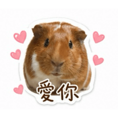 拜金