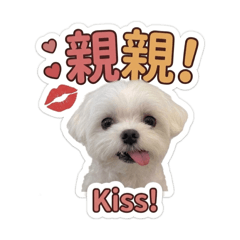 瑪爾嚕醬可愛貼圖