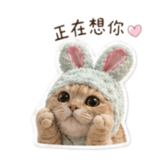 ฅ弟弟日常ฅ