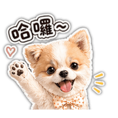 花博美2:Dobby小蕃薯