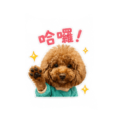 膨皮怎麼那麼可愛