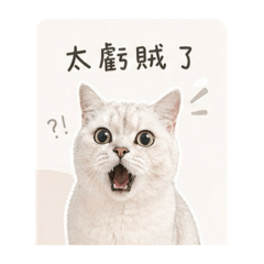 虧賊小咪