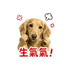 Chuuunn