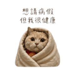 來生當貓