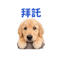 小Bumi