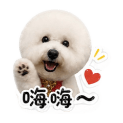 百威狗勾