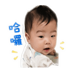 宸語芯語
