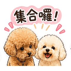 皮米&焦糖-領隊術語