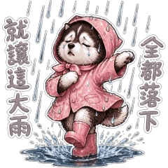 哈士奇 王哈哈雨中emo劇場