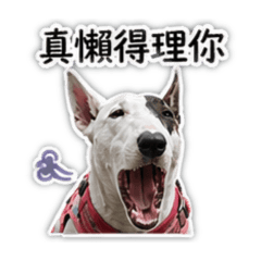 朵拉豬沒電了