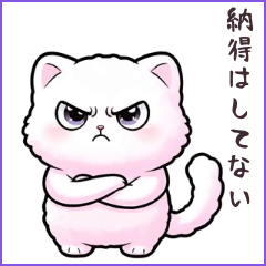0153_MochiPaw