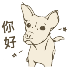 是白哥不是白鴿