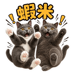 麵線米米