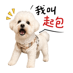 我是起包！
