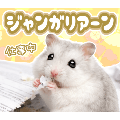 Working! Djungarian Hamster Work Edition