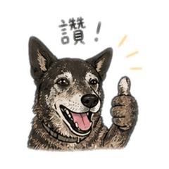Hey!小虎