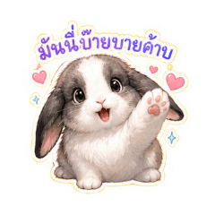 Maxnero_20260430032545