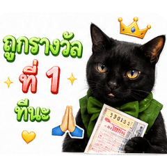 Lemmy441_20260429214128
