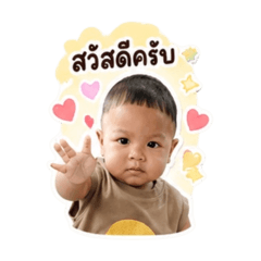 Bee_20260430120822