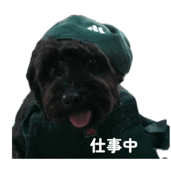 hikaru_20260430223332