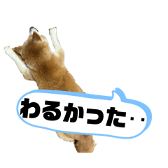 wan_chan_20260430223540