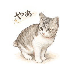 cocoa_20260501190840