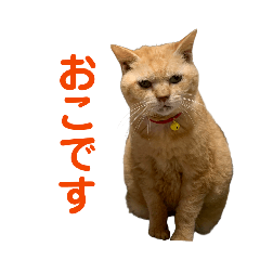 Nyans_20260430223938