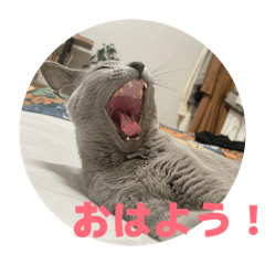 Sayaka_20260430224508