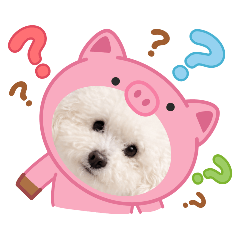 CHUPA_20260430224548
