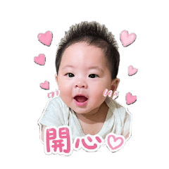 小布丁：炸毛寶寶的厭世與可愛日常