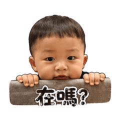 晨晨日常：生活用語&耍廢篇