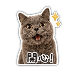 二喵の日常