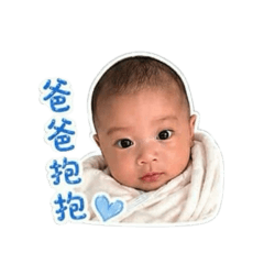 豆哥寶寶