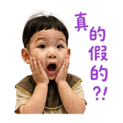 小籠包包的小籠包