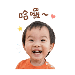 雙寶戰隊
