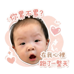 熊寶日常用語篇