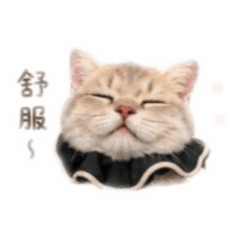 Zqqqqq