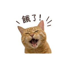 王嚕嚕