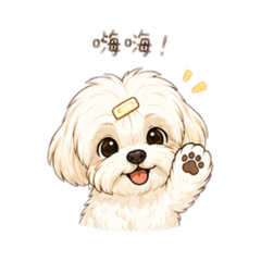嚕米狗狗日常