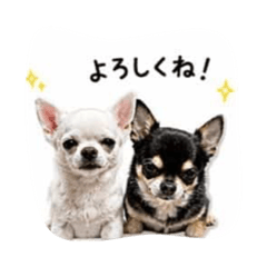 RIE_20260430225409