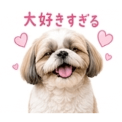 YUI_20260430225248