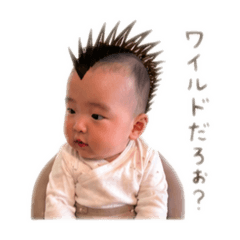 t_20260430232045