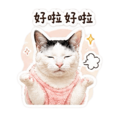 花花是隻喵
