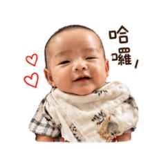 何壞壞