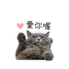 咘咘與豆寶Q版貼圖