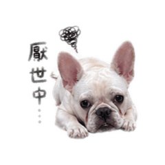 黃阿醜