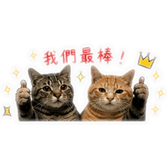 麻酷醬の問候❤️