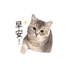 47喵1
