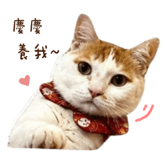 57安安