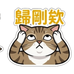 白爛貓38
